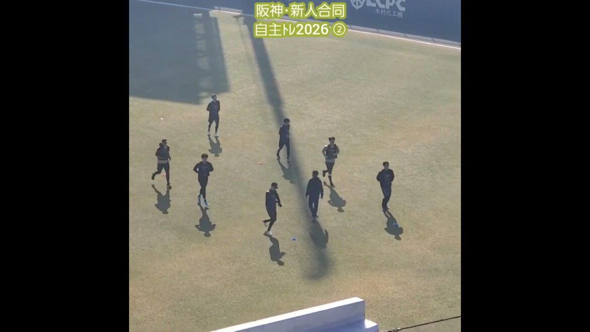 20260117　阪神ﾀｲｶﾞｰｽ新人合同自主ﾄﾚ2026　ｳｫｰﾐﾝｸﾞｱｯﾌﾟの様子 ② #shorts@日鉄鋼板SGLｽﾀｼﾞｱﾑ尼崎
