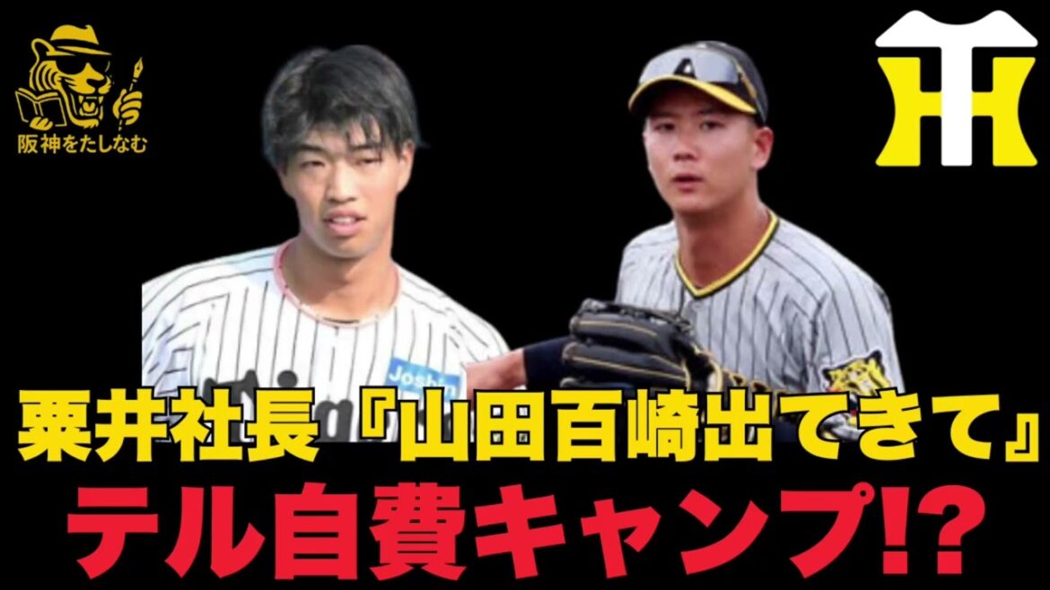 阪神粟井球団社長が山田百崎に期待‼️どれくらい成長してるか楽しみだ‼️#阪神タイガース＃立石正広＃阪神タイガースたしなむ#阪神　キャンプ＃＃百﨑蒼生＃山田脩也＃阪神　キャンプ＃佐藤輝明　自費キャンプ