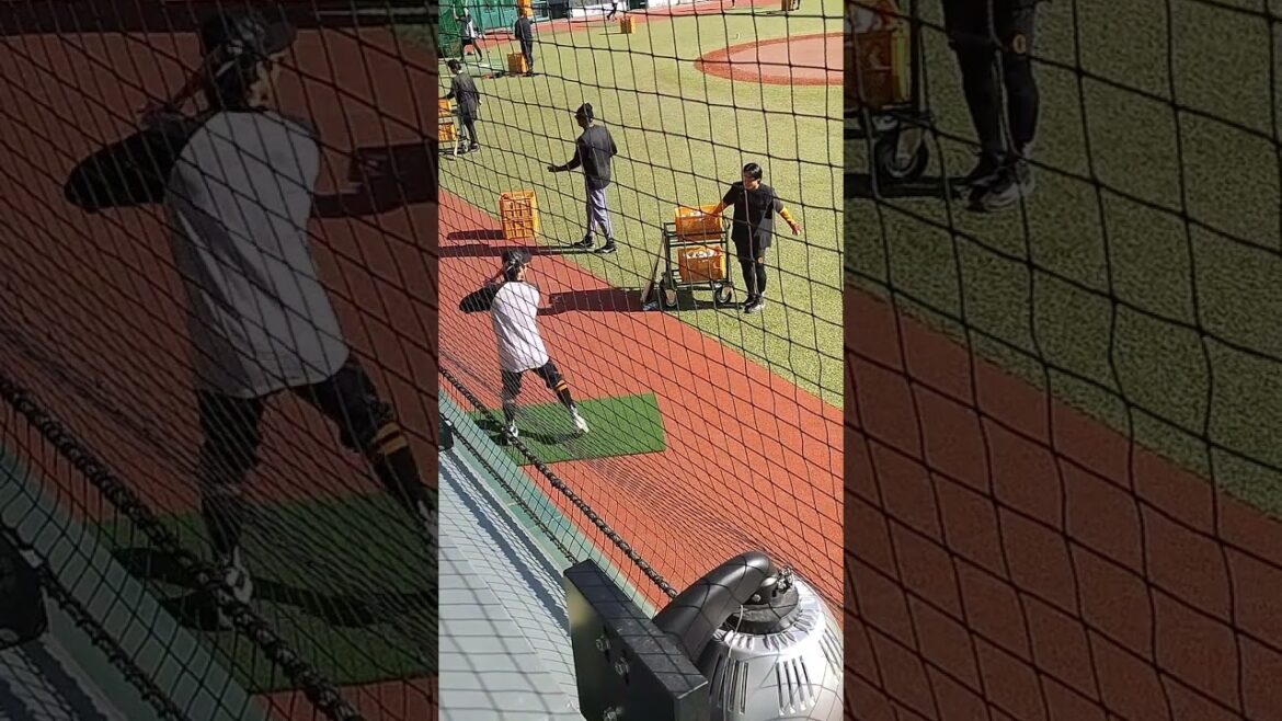 【GIANTS】 #宇都宮葵星 のトスで #舟越秀虎 選手がバッティング練習 #shorts #巨人 #ジャイアンツ #プロ野球