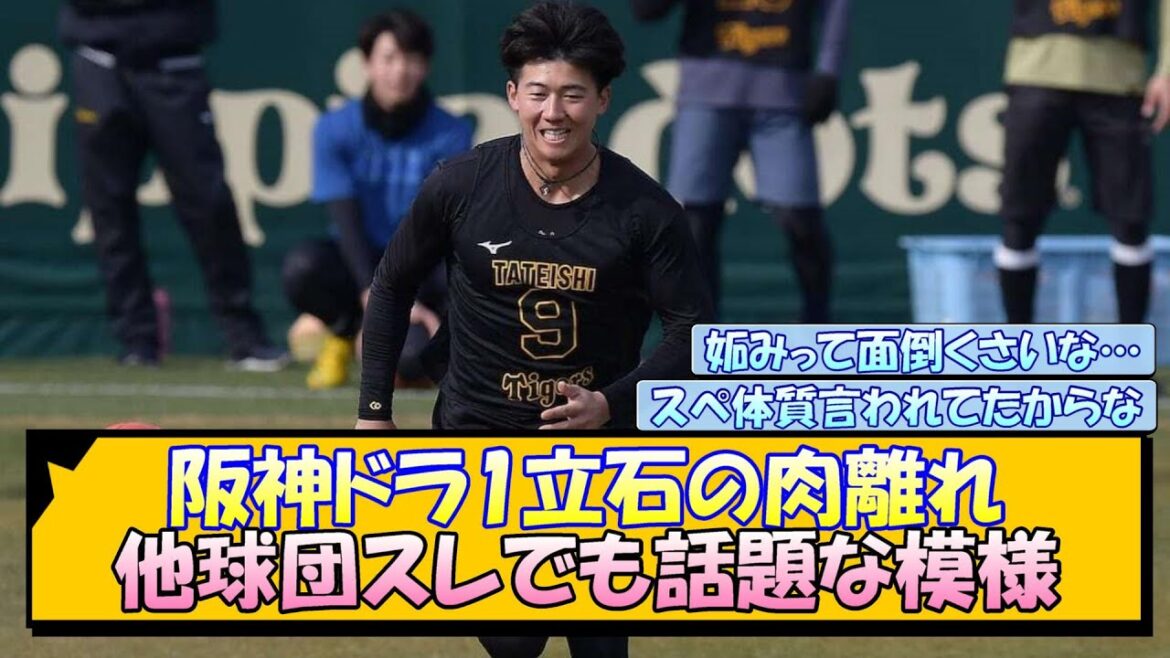 阪神ドラ1立石の肉離れ 他球団スレでも話題な模様