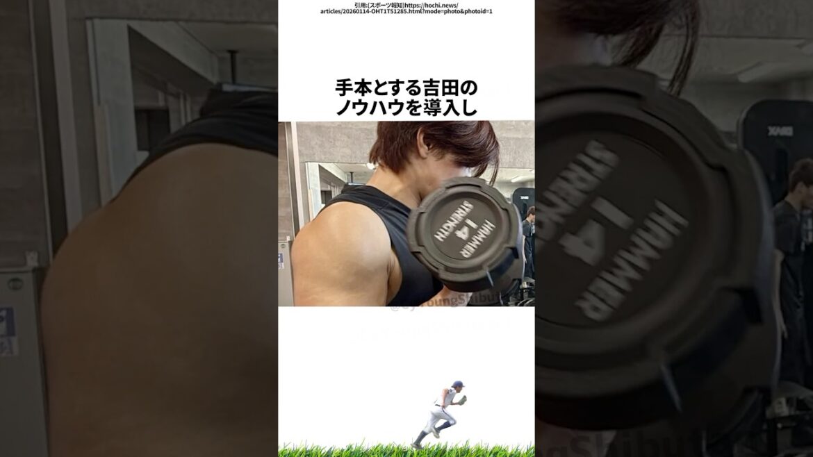 【プロ野球】先週実際に起こったプロ野球の出来事・雑学・エピソード2【1/12～1/18】