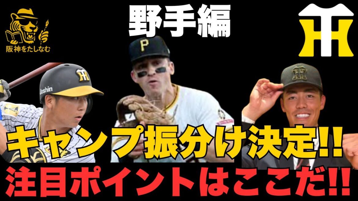 【野手編】注目ポイントはここだ🔥阪神春季キャンプの振り分けを発表‼️#阪神タイガース＃谷端 将伍＃阪神タイガースたしなむ#阪神　新外国人#デバニー＃井坪 陽生＃阪神　春季キャンプ振り分け