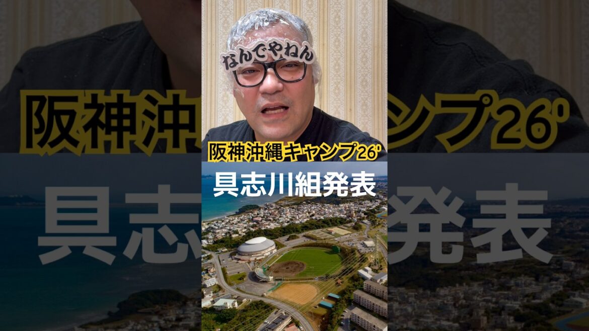 阪神沖縄キャンプ2026’振り分け発表🗣️【具志川/うるま編】#阪神タイガース#阪神#阪神ファン #プロ野球#立石正広