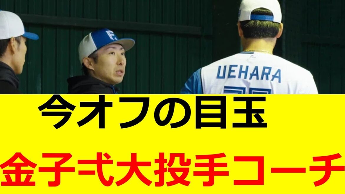 パ・5球団　金子投手コーチに目をつけ始めるwww   日ハムファン、ロッテファン、パ・リーグファン　反応