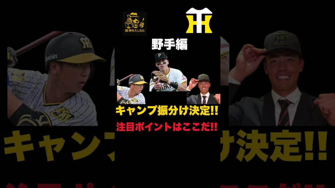 【野手編】注目ポイントはここだ🔥阪神春季キャンプの振り分けを発表‼️#阪神タイガース＃谷端 将伍＃阪神タイガースたしなむ#阪神　新外国人#デバニー＃井坪 陽生＃阪神　春季キャンプ振り分け