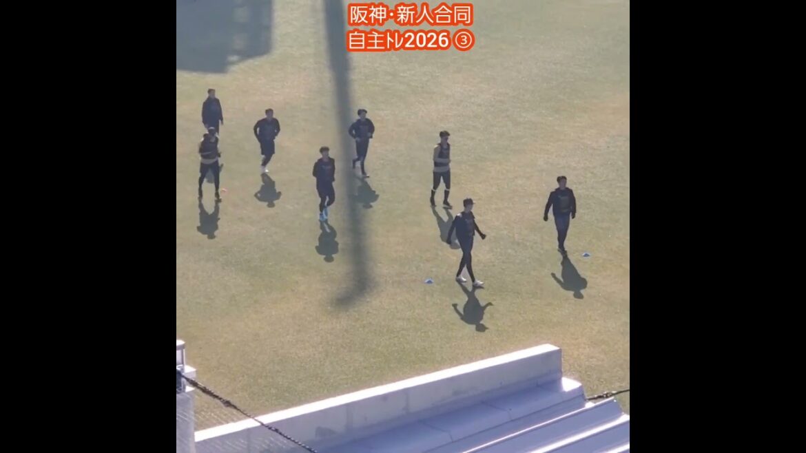 20260117　阪神ﾀｲｶﾞｰｽ新人合同自主ﾄﾚ2026　ｳｫｰﾐﾝｸﾞｱｯﾌﾟの様子 ③ #shorts@日鉄鋼板SGLｽﾀｼﾞｱﾑ尼崎