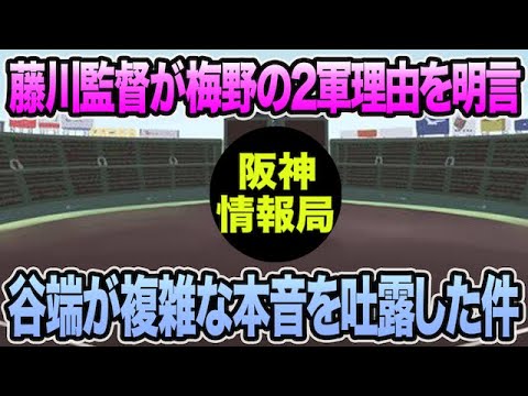 【谷端が複雑な本音を吐露】藤川監督が梅野の2軍理由を明言した件について【阪神タイガース】 【谷端が複雑な本音を吐露】藤川監督が梅野の2軍理由を明言した件について【阪神タイガース】