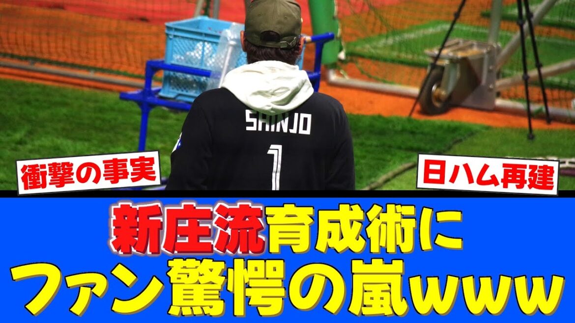 【衝撃】新庄監督の“育成術”が凄すぎるwww日ハム再建の裏側が判明！
