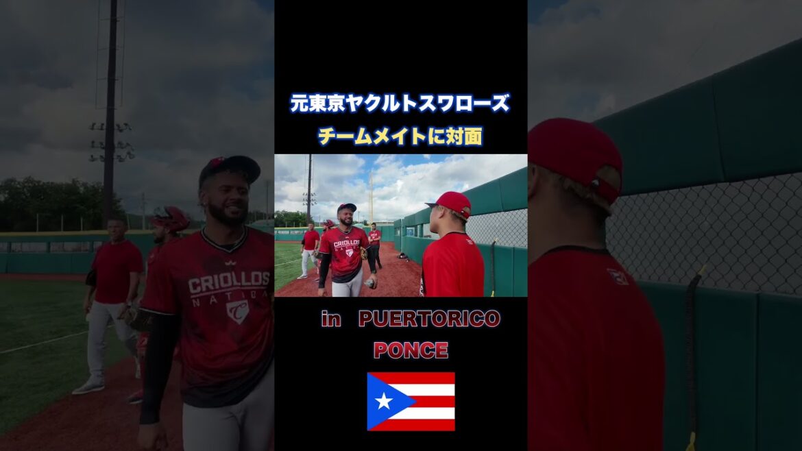 【プエルトリコ】海を超えて元チームメイトと再会!!!#プロ野球 【プエルトリコ】海を超えて元チームメイトと再会!!!#プロ野球