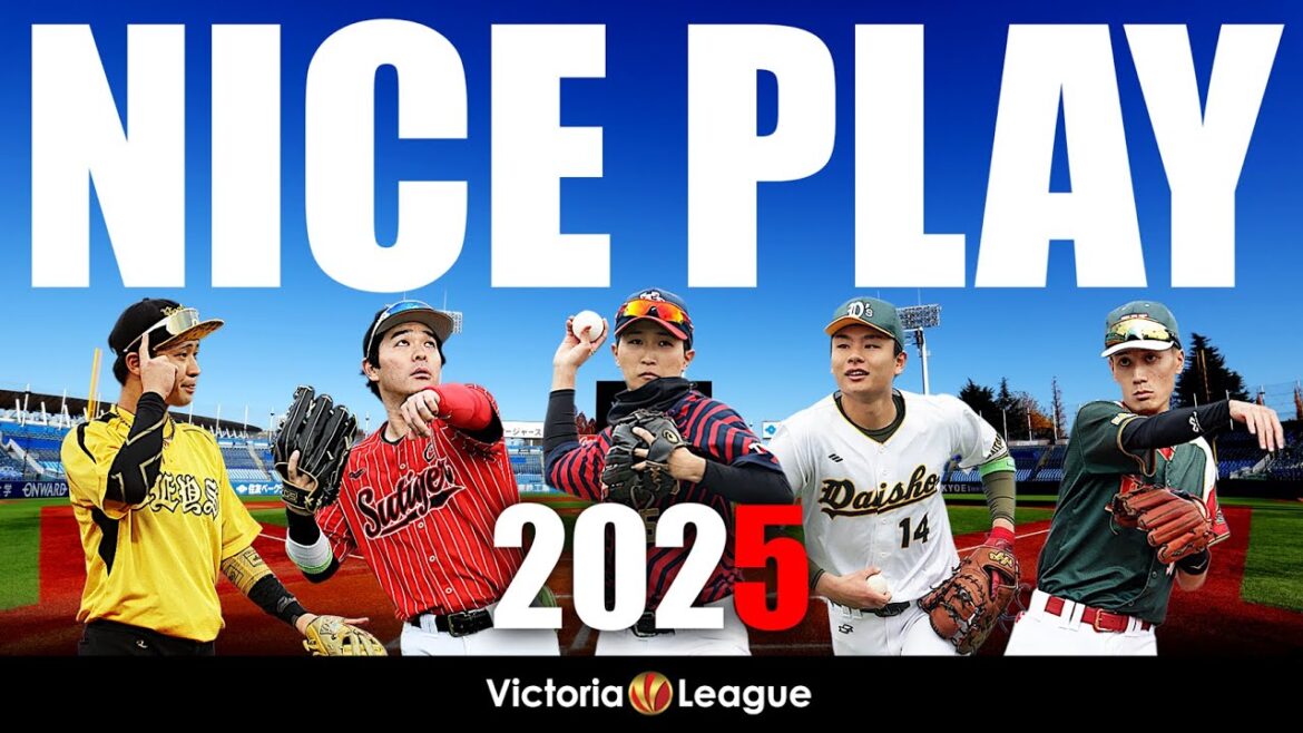【草野球大会Victoria】2025年ナイスプレー集！