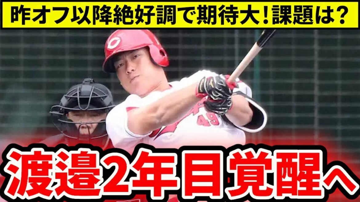 【広島】2年目・渡邉が覚醒気配！起用ポジションは？モンテロ・佐々木との争いも注目【広島東洋カープ】