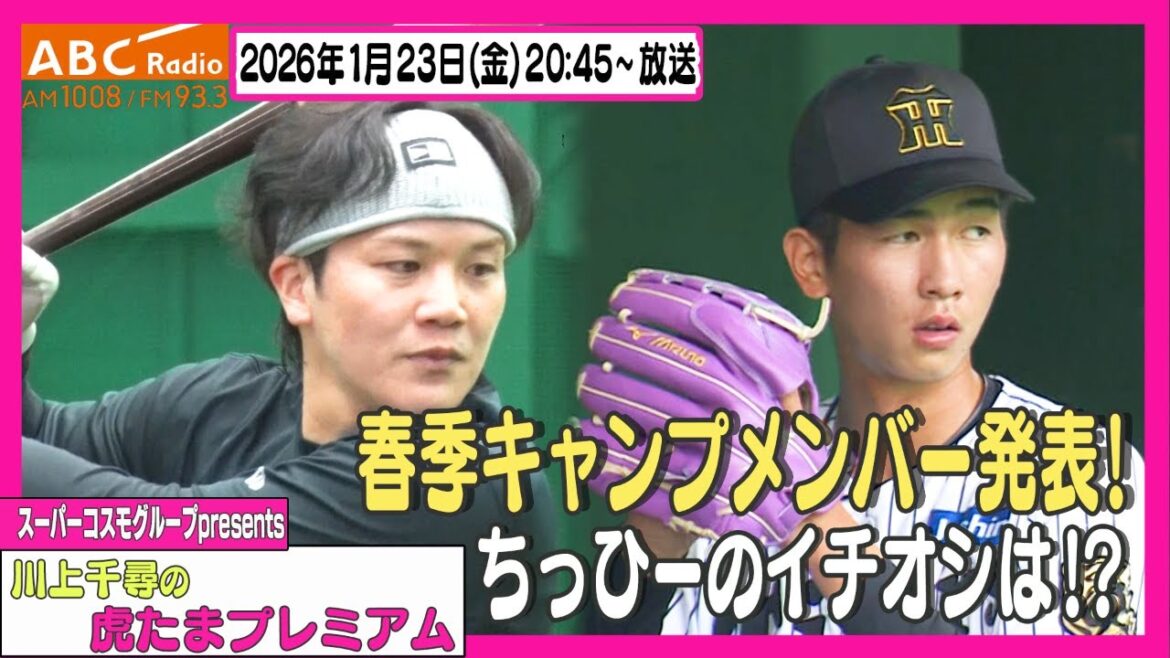 【キャンプ直前】ABCラジオ「川上千尋の虎たまプレミアム！」ちっひーがキャンプに向けて期待を寄せる選手を発表！！阪神タイガース密着！応援番組「虎バン」ABCテレビ公式チャンネル