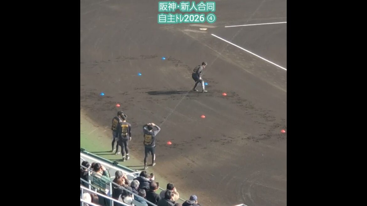 20260117　阪神ﾀｲｶﾞｰｽ新人合同自主ﾄﾚ2026　ｳｫｰﾐﾝｸﾞｱｯﾌﾟの様子 ④ #shorts@日鉄鋼板SGLｽﾀｼﾞｱﾑ尼崎