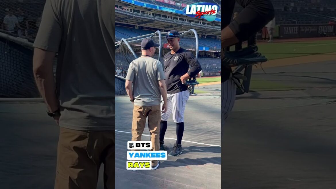 New York Yankees BTS MLB Highlights #shortvideo #shorts #shortsfeed #mlb #baseball #nyy #yankees