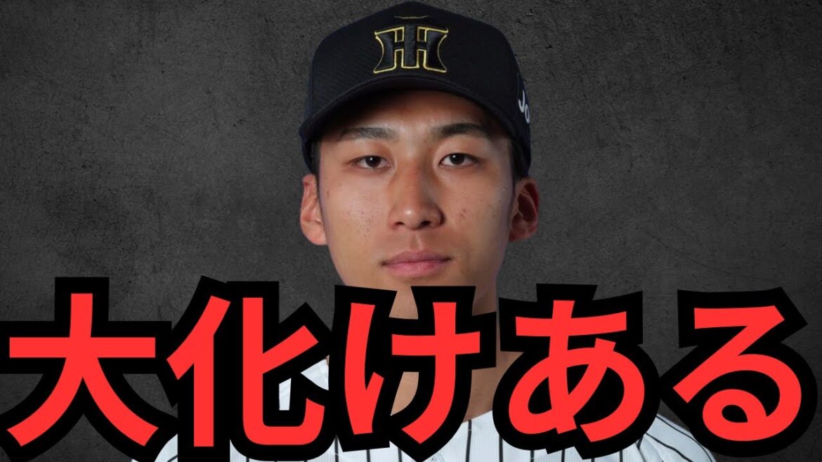 また阪神の逸材を見つけてしまいました… 彼は今年大化けするかもしれません… また阪神の逸材を見つけてしまいました… 彼は今年大化けするかもしれません…