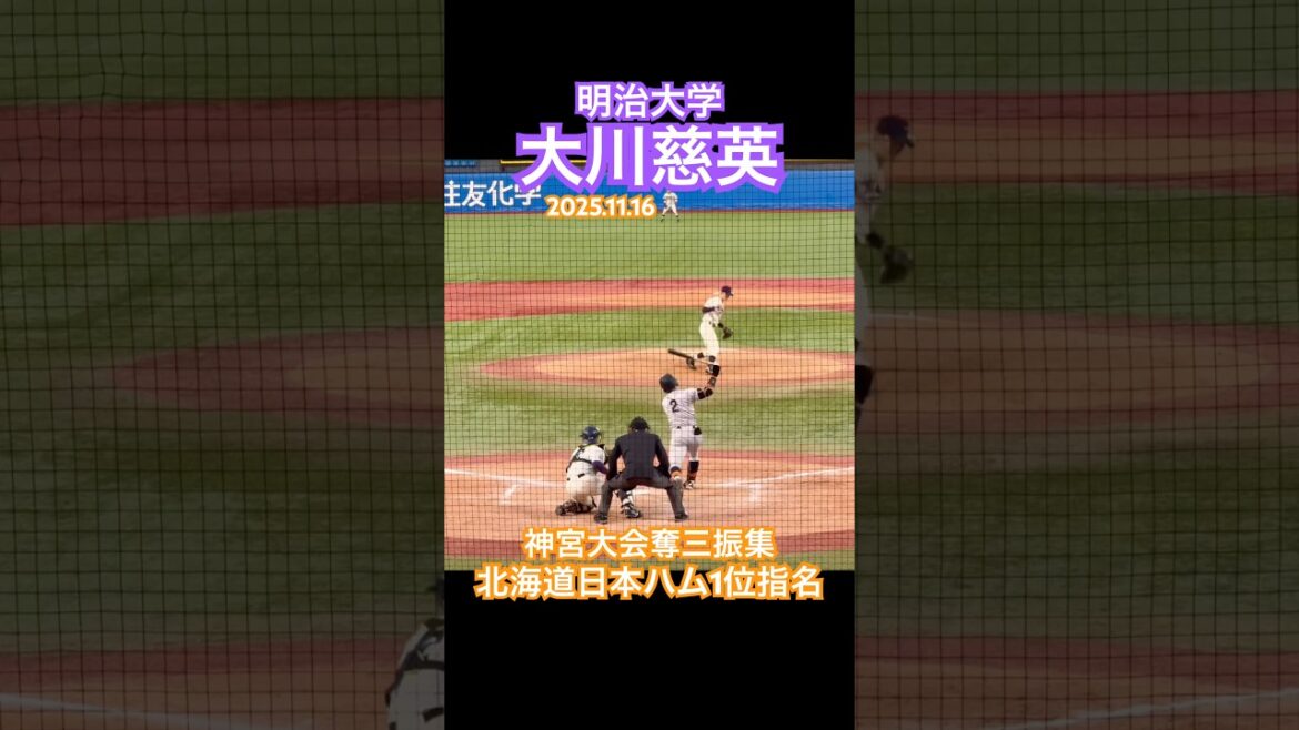 【北海道日本ハム1位】 #大川慈英 #ドラフト #明治大学 #常総学院 #北海道日本ハムファイターズ