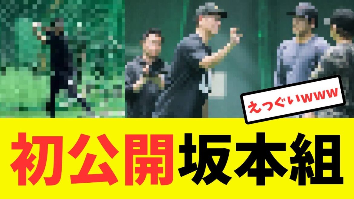 【アカンw】坂本自主トレに参加中の石塚が限界突破してしまうwww