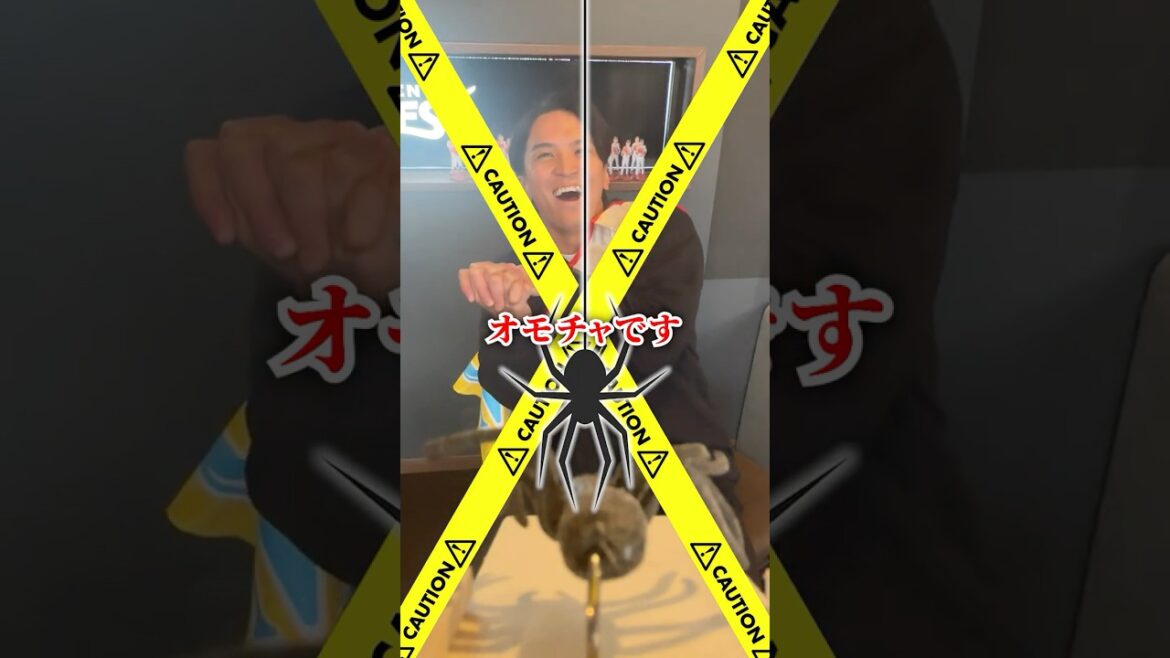 【⚠オモチャです⚠】箱からクモが飛び出した時の反応集🕷