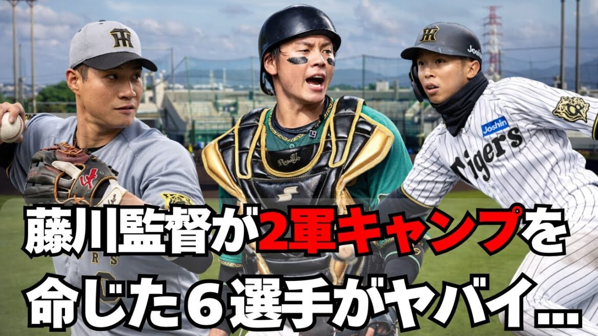 【阪神】藤川監督が２軍キャンプを命じた６選手がヤバイ
