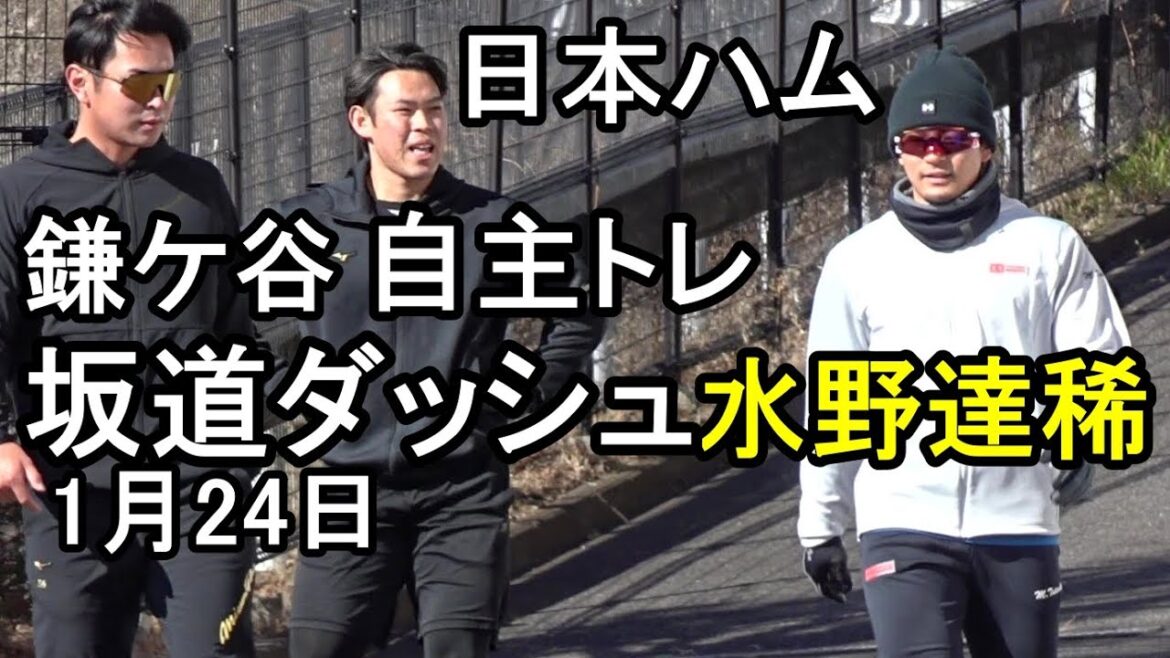 水野達稀が坂道ダッシュ日本ハム鎌ケ谷自主トレ2026.1.24