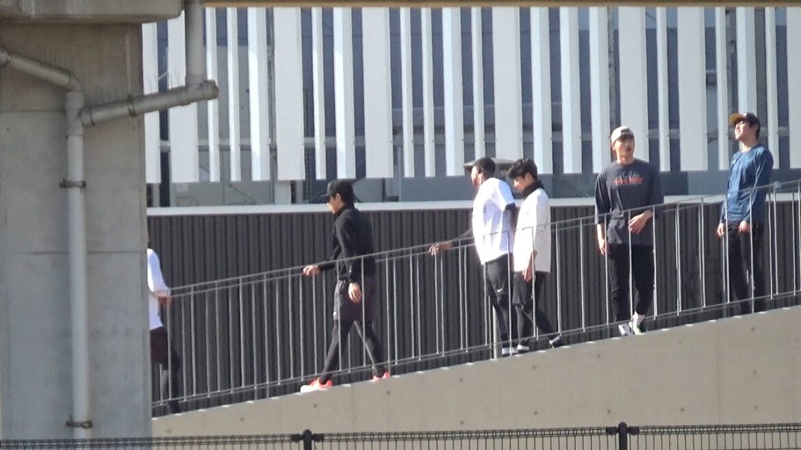 【坂道練習】SGLスタジアム名物『大物坂』に下村海翔&小川一平&マルティネスたちが挑む!下半身をしっかり強化してブレないフォームを作る!日々の努力が必ず身になっていく【阪神自主トレ】2026.1.19 【坂道練習】SGLスタジアム名物『大物坂』に下村海翔&小川一平&マルティネスたちが挑む!下半身をしっかり強化してブレないフォームを作る!日々の努力が必ず身になっていく【阪神自主トレ】2026.1.19