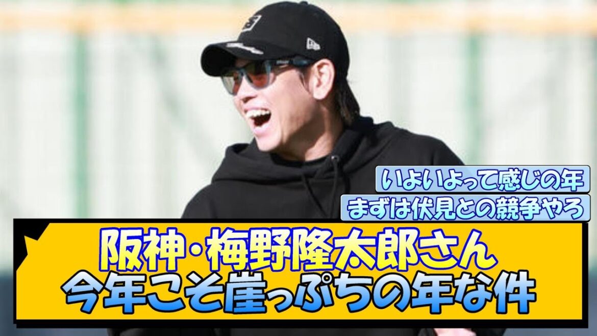 阪神・梅野隆太郎さん 今年こそ崖っぷちの年な件