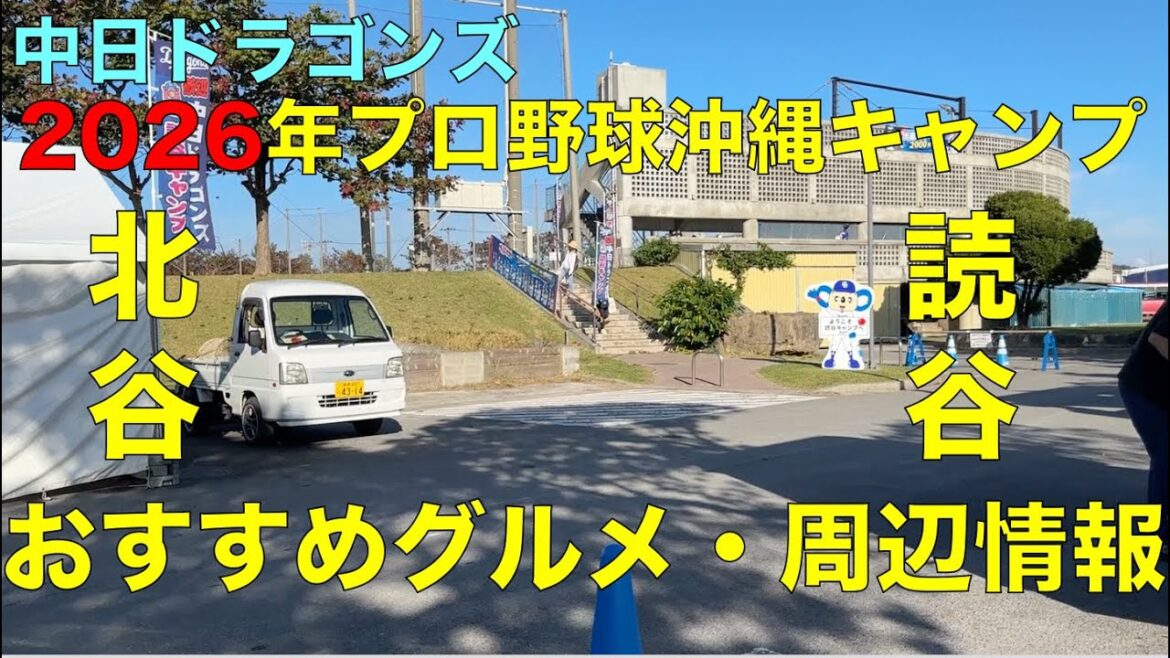 【プロ野球沖縄キャンプ2026】中日ドラゴンズ 北谷 読谷おすすめ情報