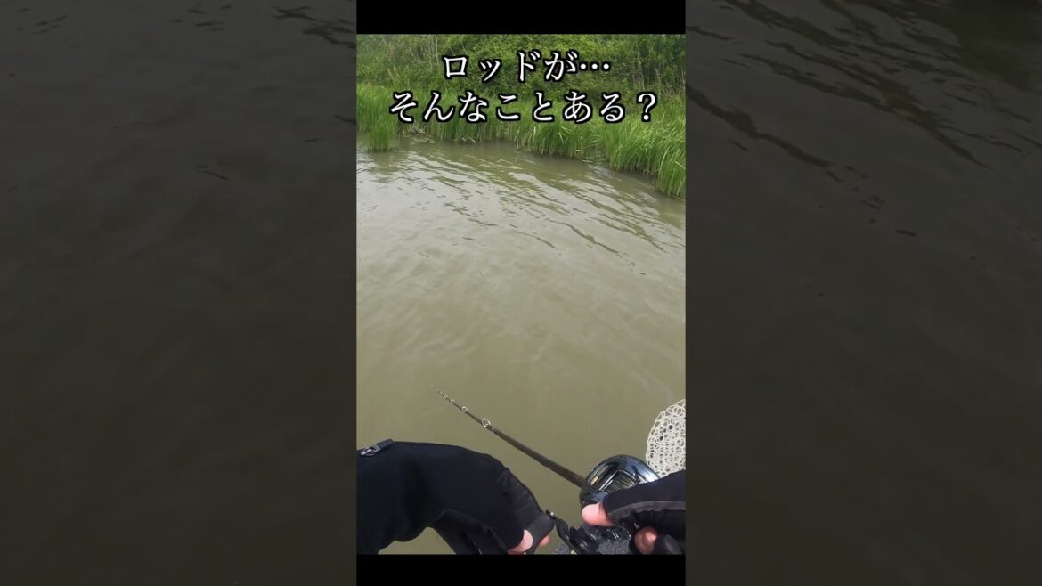 釣り中の残酷な悲劇…【バス釣り】 #shorts  #バス釣り