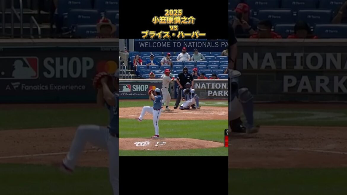 【小笠原慎之介】vsブライス・ハーパー 2025 Shinnosuke Ogasawara ナショナルズ Bryce Harper #shorts