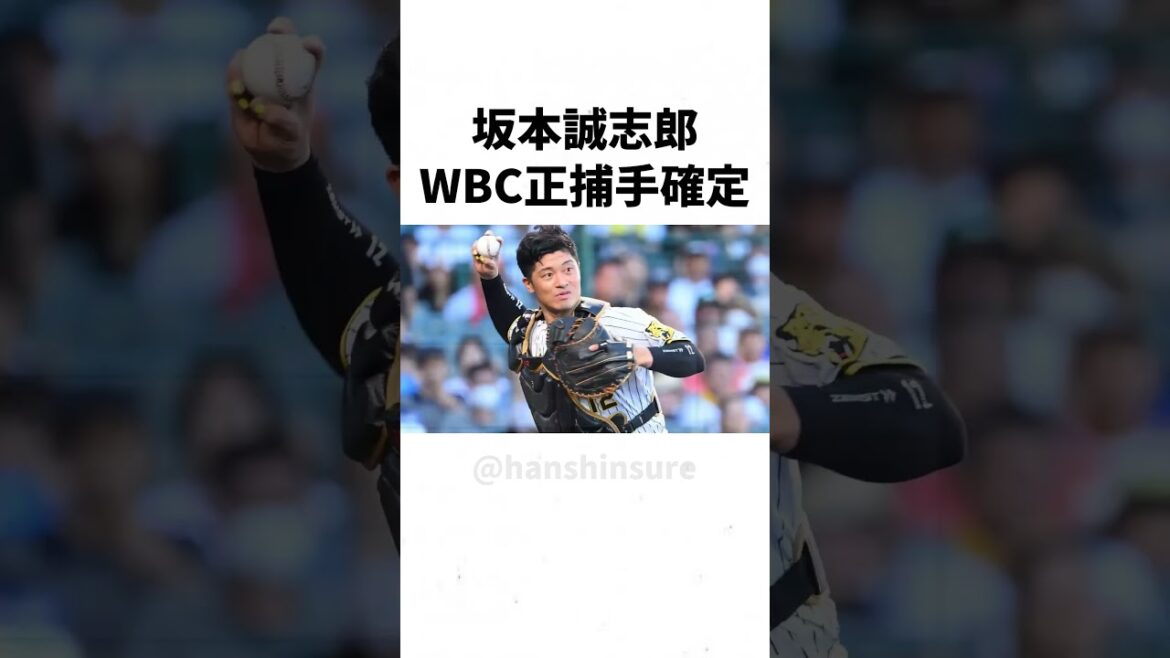 【阪神】坂本誠志郎、WBC正捕手が確定してしまうｗｗｗｗｗ #shorts