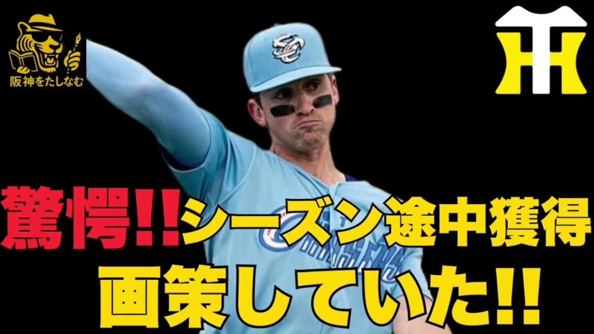驚愕‼️ディベイニーシーズン途中6月末に獲得を阪神が画策していた‼️#阪神タイガース #阪神　新外国人＃新外国人候補　2026#デバニー＃ルーカス＃モレッタ＃立石 正広＃谷端 将伍＃伏見 寅威