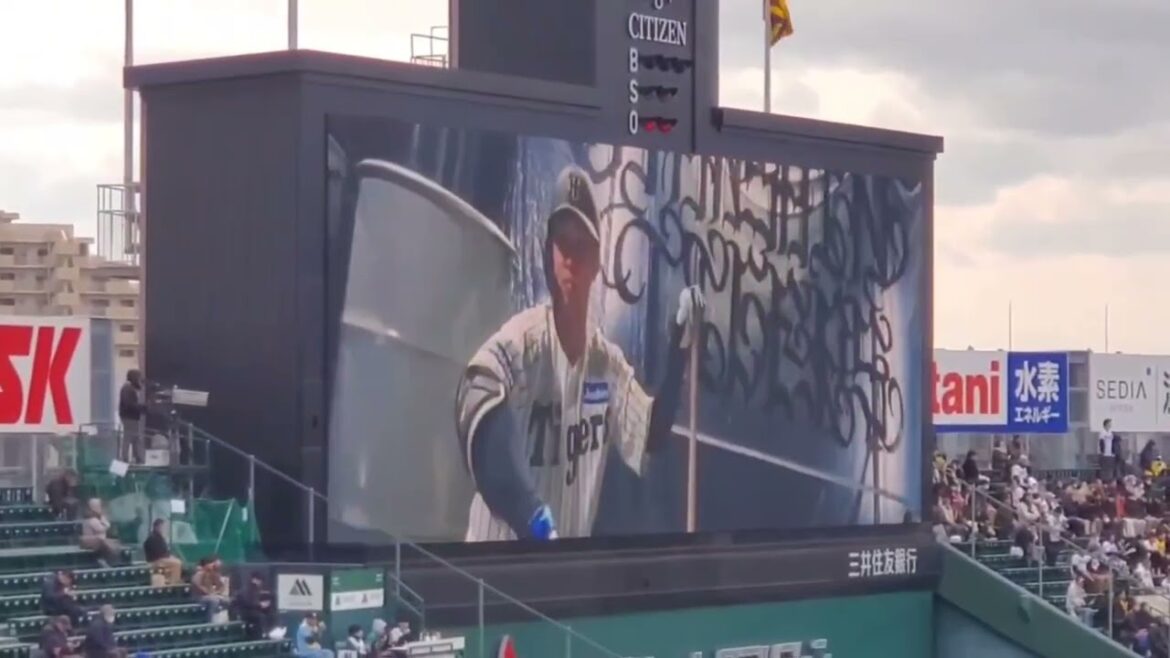 20250307　島田海吏 登場曲【｢Barricades｣／澤野弘之】　3回ｳﾗ　阪神ﾀｲｶﾞｰｽ@阪神甲子園球場･ﾚﾌﾄ外野 ｵｰﾌﾟﾝ戦