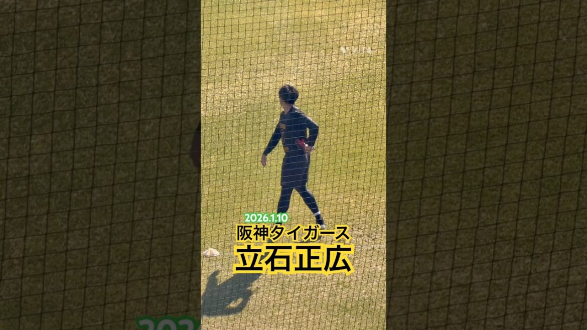 #立石正広 #ドラフト #甲子園 #プロ野球 #阪神タイガース #創価大学