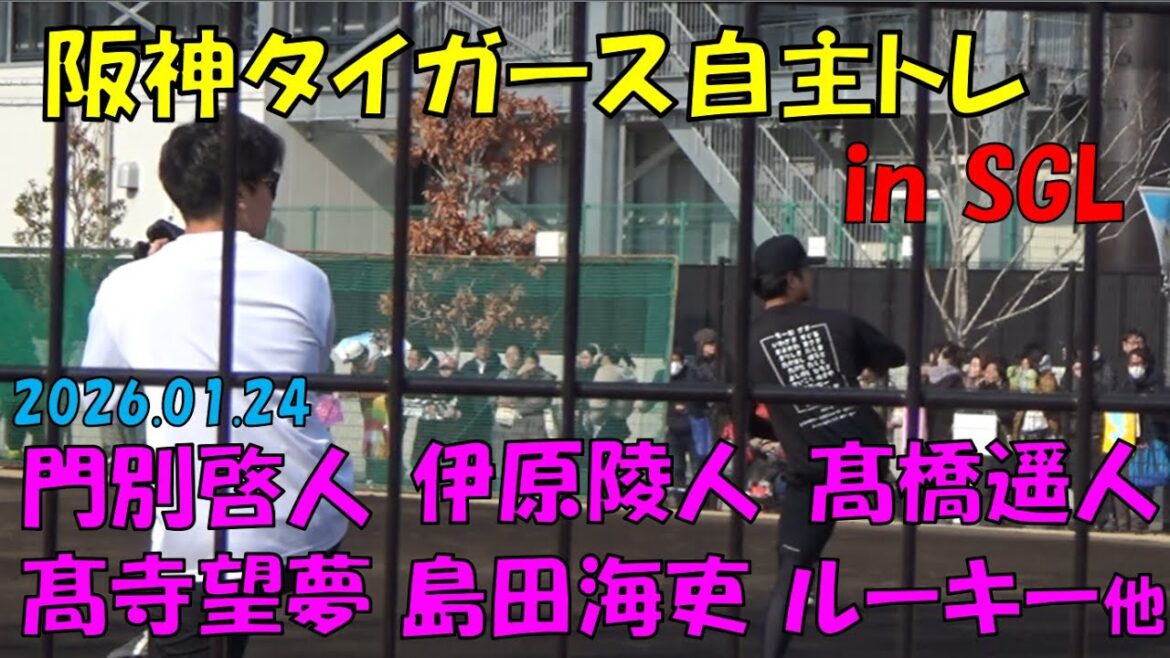 阪神タイガース自主トレ2026 inSGL