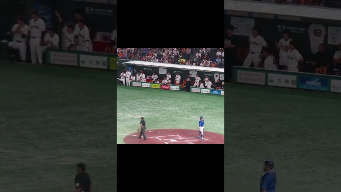 【巨人ベンチ】3回 中山礼都の二塁打で喜ぶ（読売ジャイアンツ 対 横浜DeNAベイスターズ 2024年10月2日） #ジャイアンツ動画