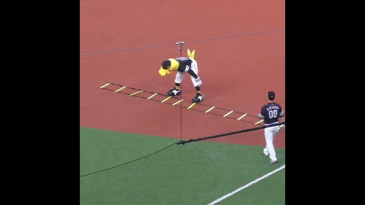 ハリーホーク の お手伝い　#福岡ソフトバンクホークス  #牧原大成 #shorts