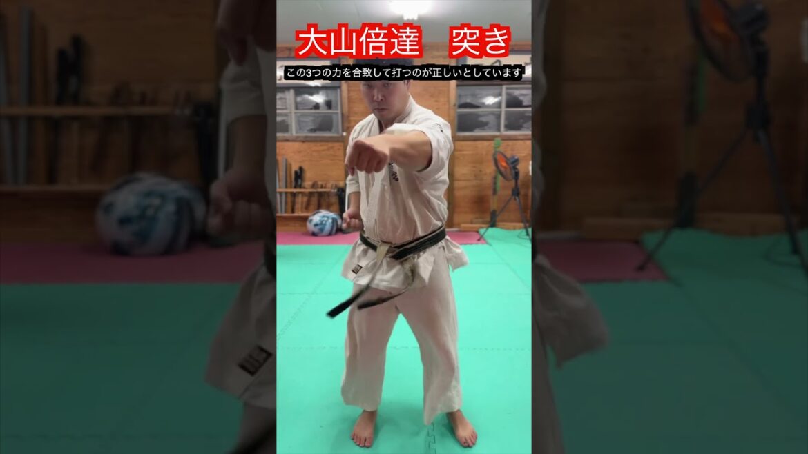 【武道・武術】伝説の空手家 大山倍達の正拳突き 解説!! #aikido #karate #martial #武道 ##空手#合気道#筋トレ#selfdefens 【武道・武術】伝説の空手家 大山倍達の正拳突き 解説!! #aikido #karate #martial #武道 ##空手#合気道#筋トレ#selfdefens