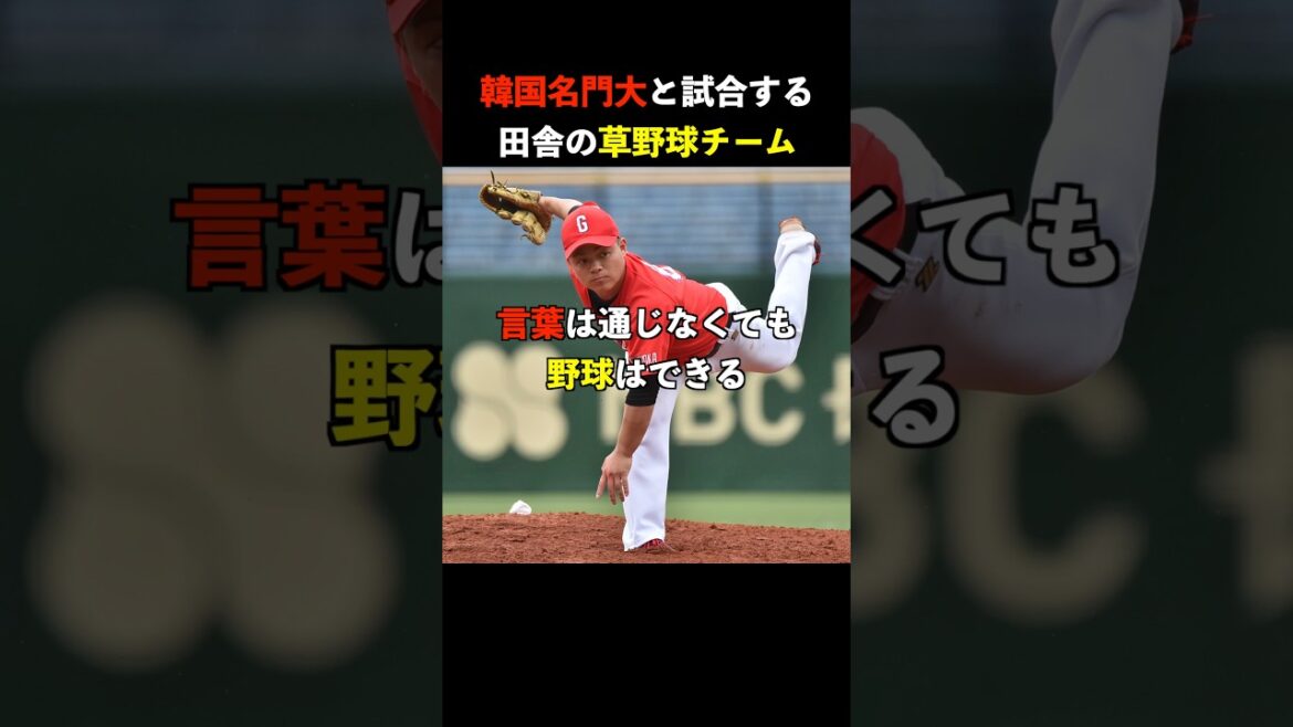 韓国名門大と試合する田舎の草野球チーム