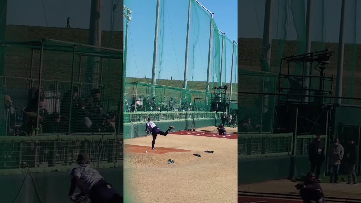 星知弥投手 ブルペン投球!新人合同自主トレ 十日目 2026.1.22 星知弥投手 ブルペン投球!新人合同自主トレ 十日目 2026.1.22