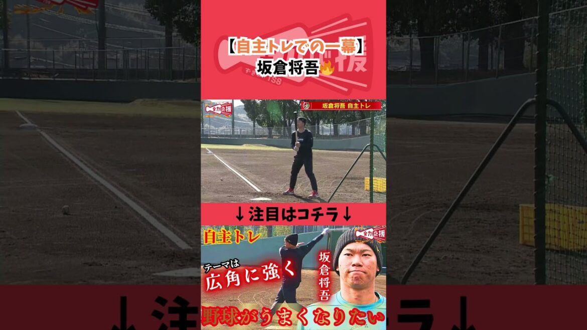 坂倉将吾選手の自主トレで球場から笑いがおきる一幕が！！【球団認定】カープ全力応援チャンネル