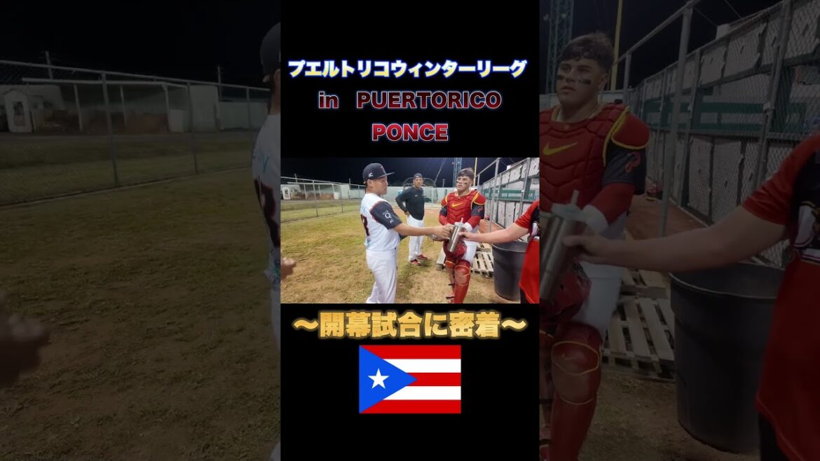 【プエルトリコ】ウィンターリーグ開幕試合に密着#プロ野球 【プエルトリコ】ウィンターリーグ開幕試合に密着#プロ野球