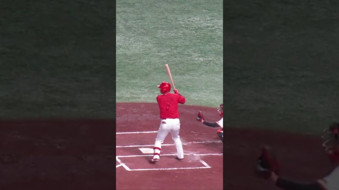 【広島カープ】堂林翔太の打撃フォーム  2024年6月28日 読売ジャイアンツ 対 広島東洋カープ #野球