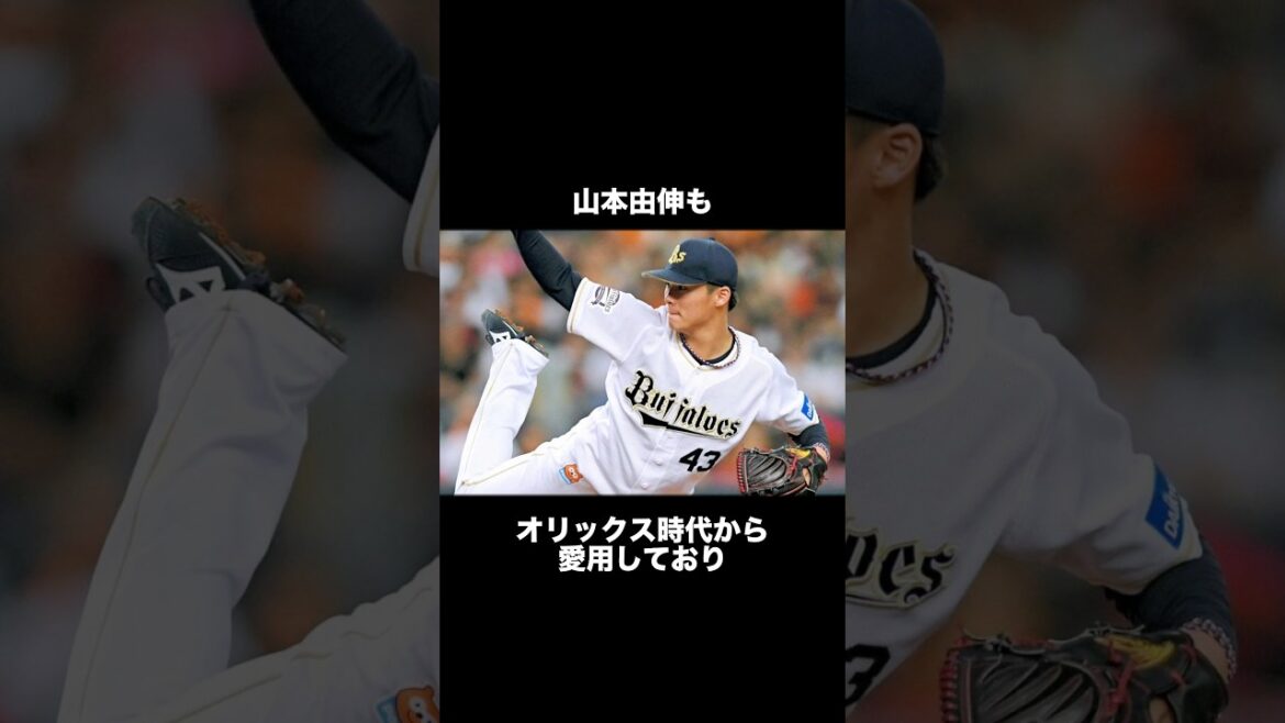 実はとんでもないチートグローブ3選#野球 #プロ野球
