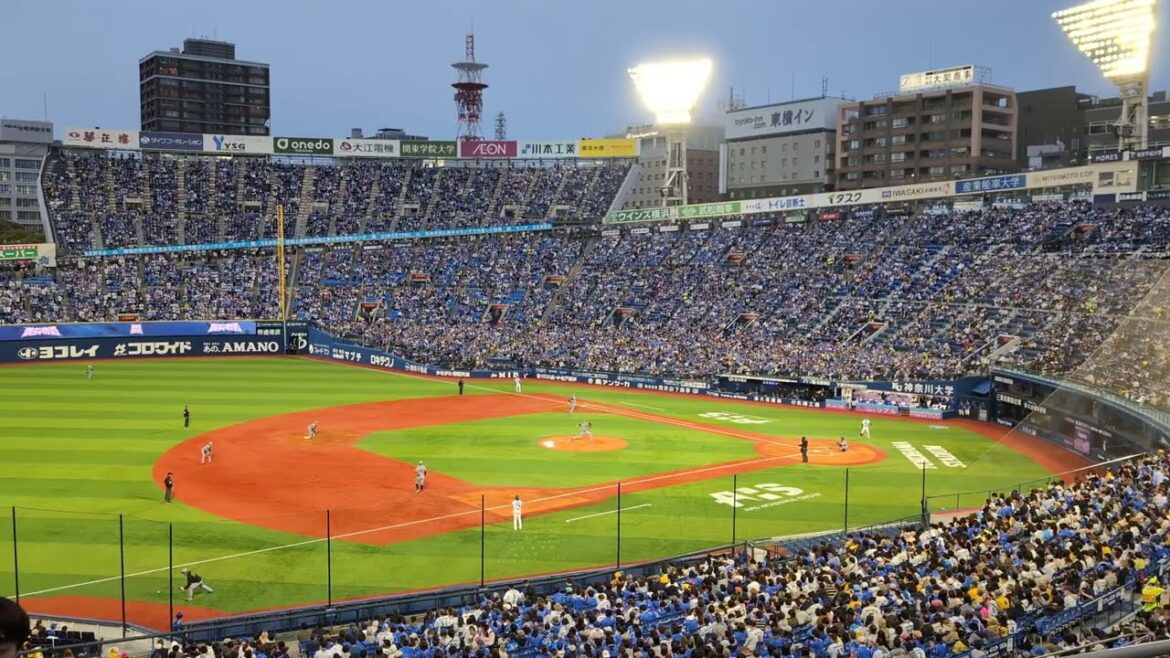 2025年 横浜DeNA 度会隆輝 登場曲 Let's Groove/Earth, Wind & Fire