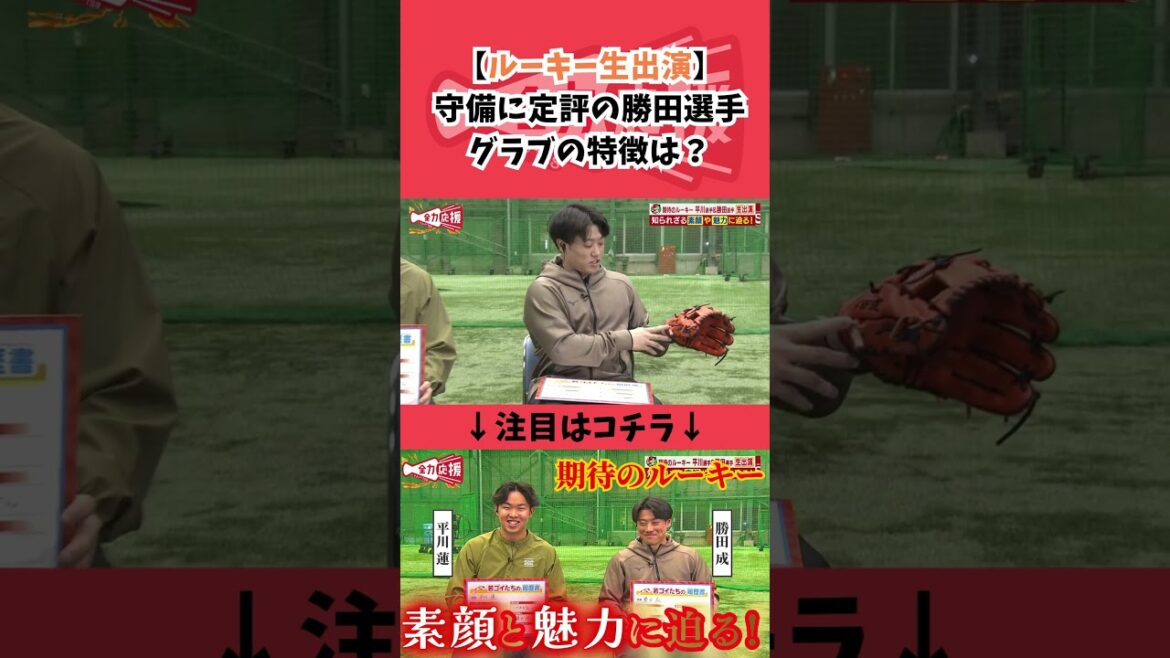 守備に定評のある勝田成選手のグラブの特徴は？【球団認定】カープ全力応援チャンネル