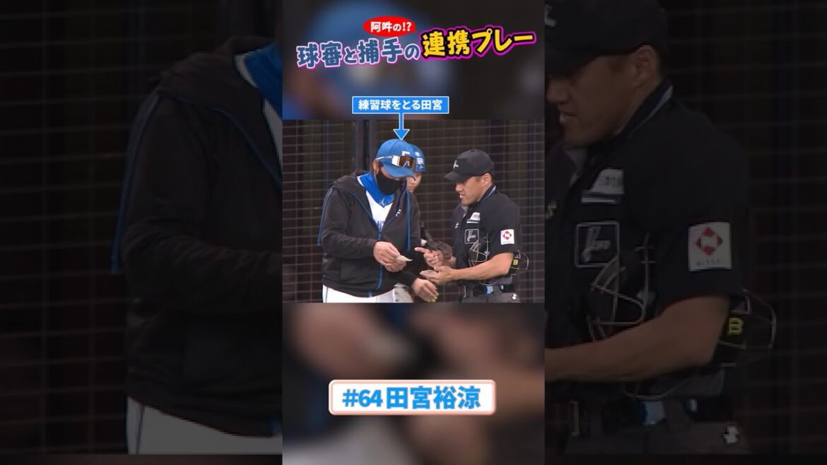 #田宮裕涼 の連携プレー⚾#lovefighters