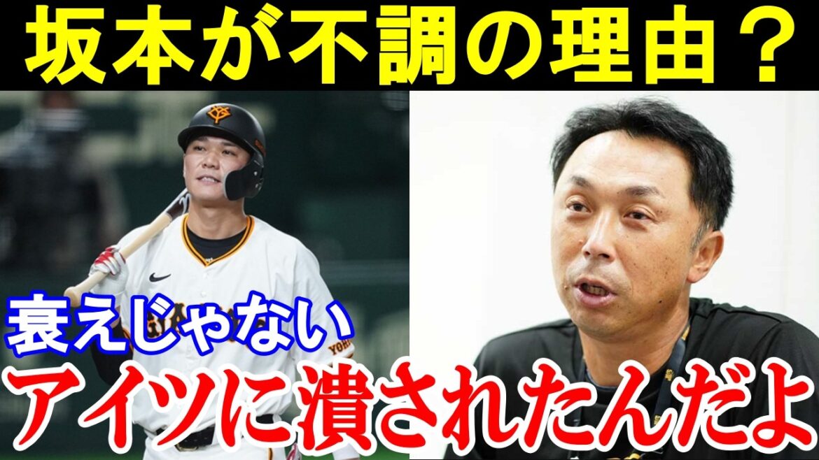 宮本慎也「皆勘違いしてますが坂本は衰えではなく潰されたんです..」坂本勇人が不調の本当の理由に宮本慎也が断言した本音がヤバすぎると話題に。【巨人/プロ野球】