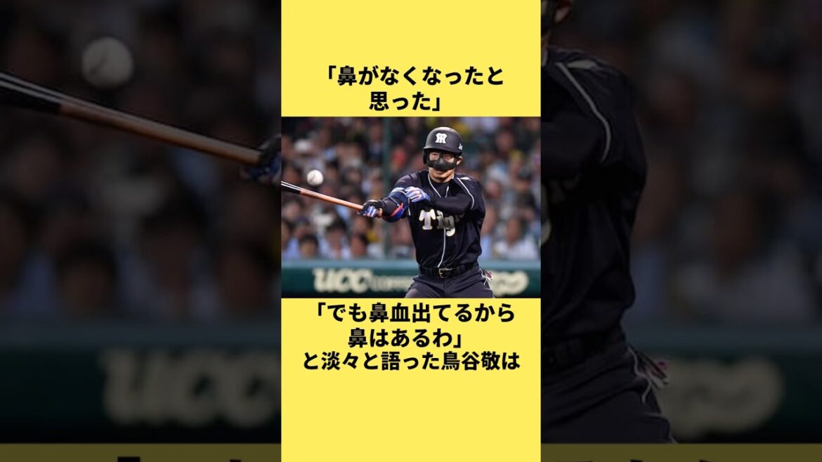「鼻がなくなったと思った」鳥谷敬に関する雑学