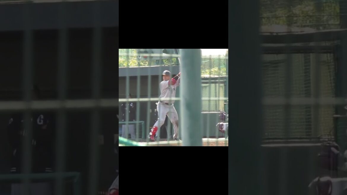 【巨人】前田研輝の打撃フォームとスイング（春季リーグ 千葉ロッテマリーンズ対 読売ジャイアンツ2024年3月14日）