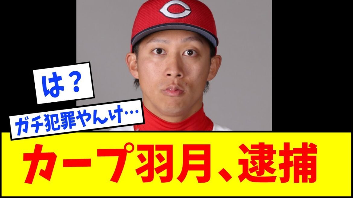 【指定薬物】広島東洋カープ・羽月隆太郎、薬物で逮捕・・・【なんJ反応】【ネットの反応】